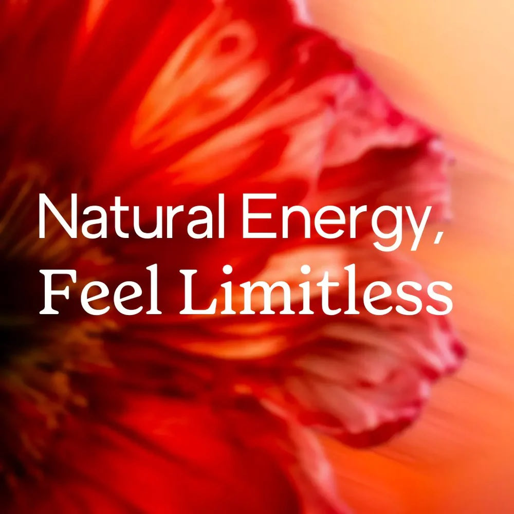 Canette "ENERGY -Agrumes"